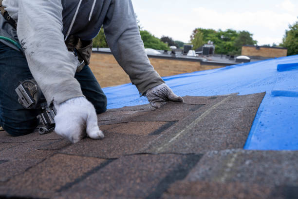 Best Roof Gutter Cleaning  in Shawsville, VA