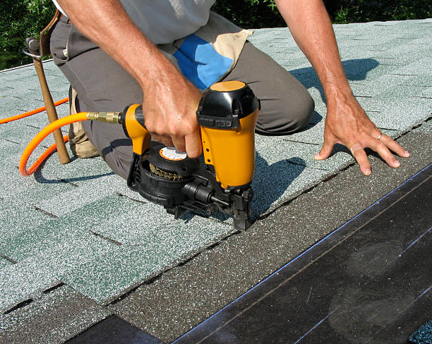Roof Gutter Cleaning in Shawsville, VA