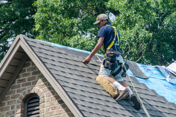 Best Gutter Installation and Roofing  in Shawsville, VA